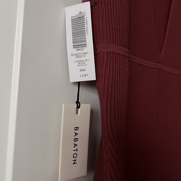 Aritzia Babaton Sculpt Knit Deep V in Sundried Red - Never worn - Picture 2 of 4